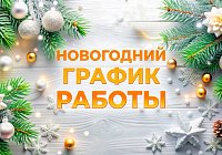 Новогодний график работы Kazanova Academy